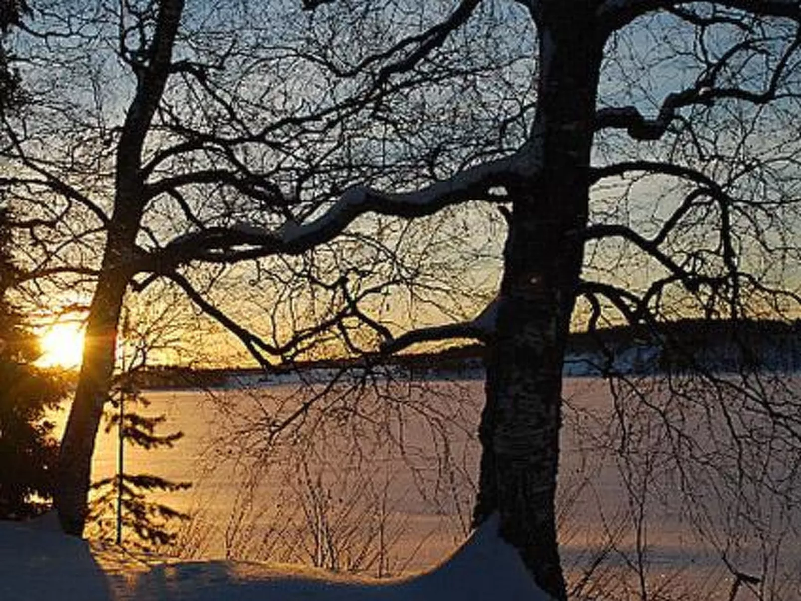 Koivuniemi