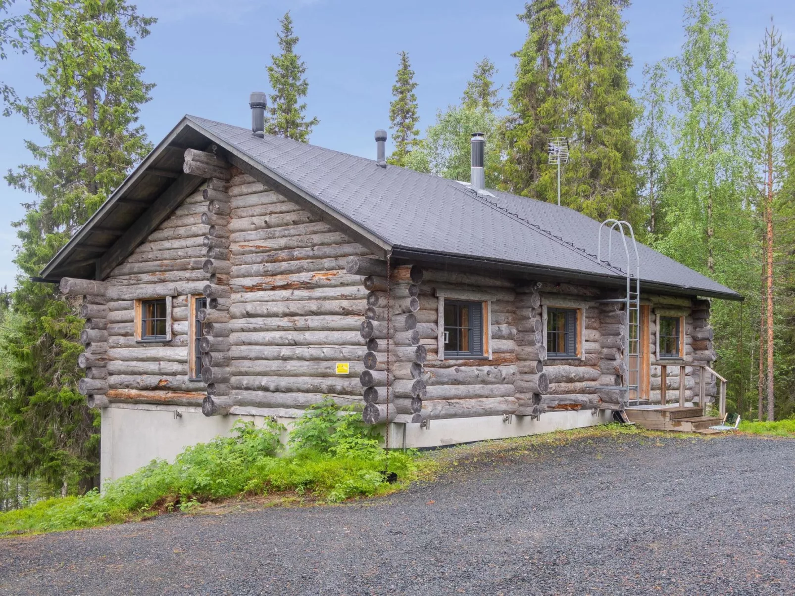 Muuttohaukka