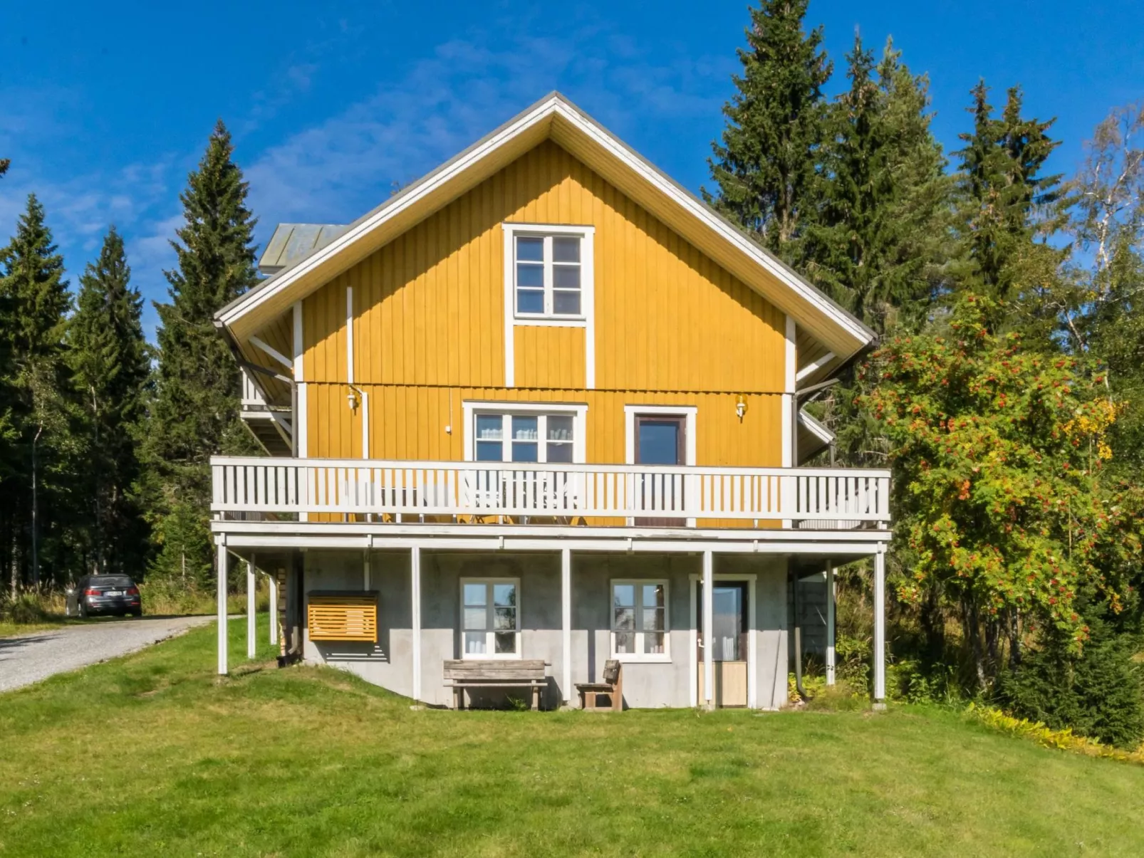 Villa viettorinne