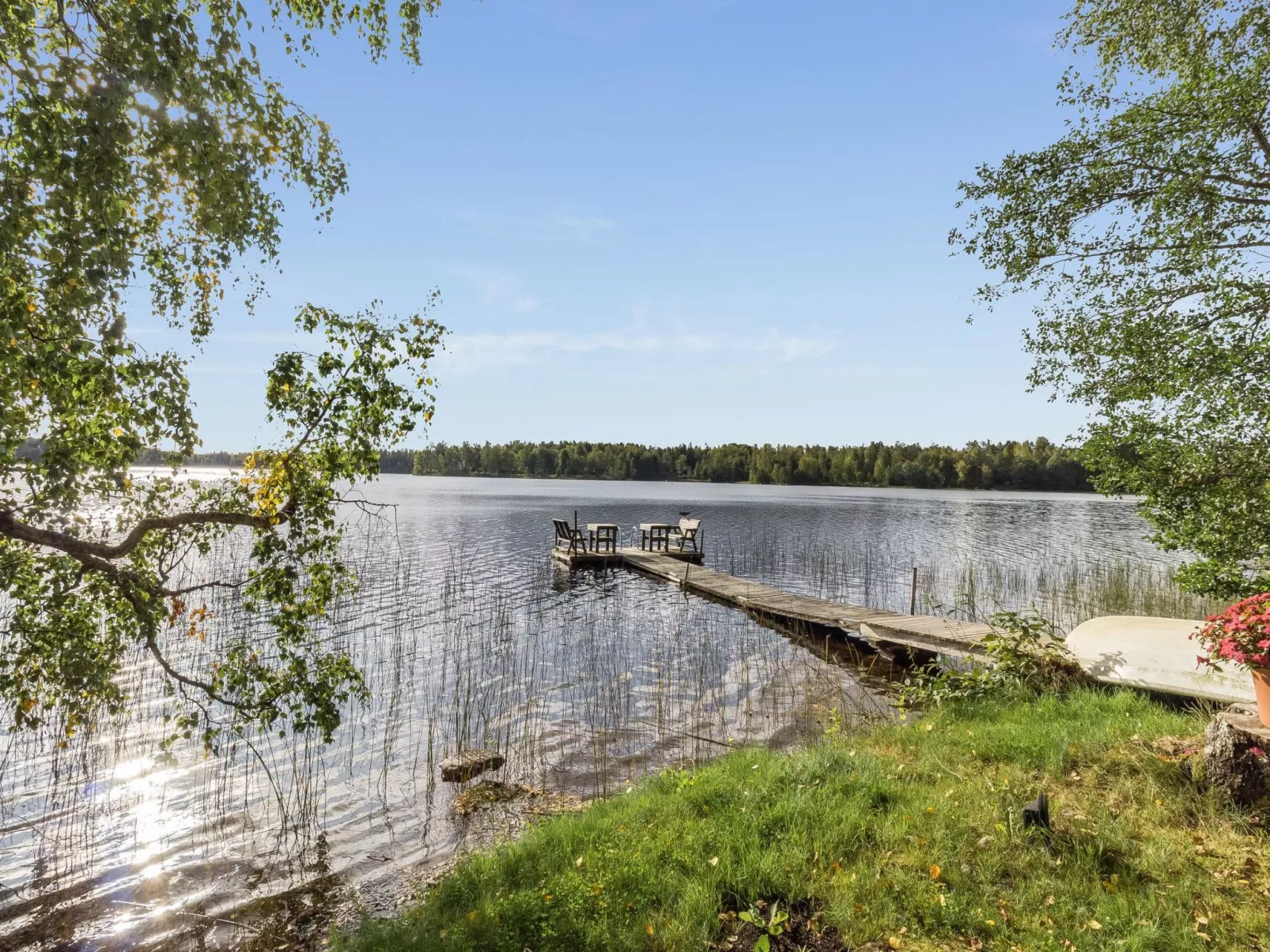 Koivuranta