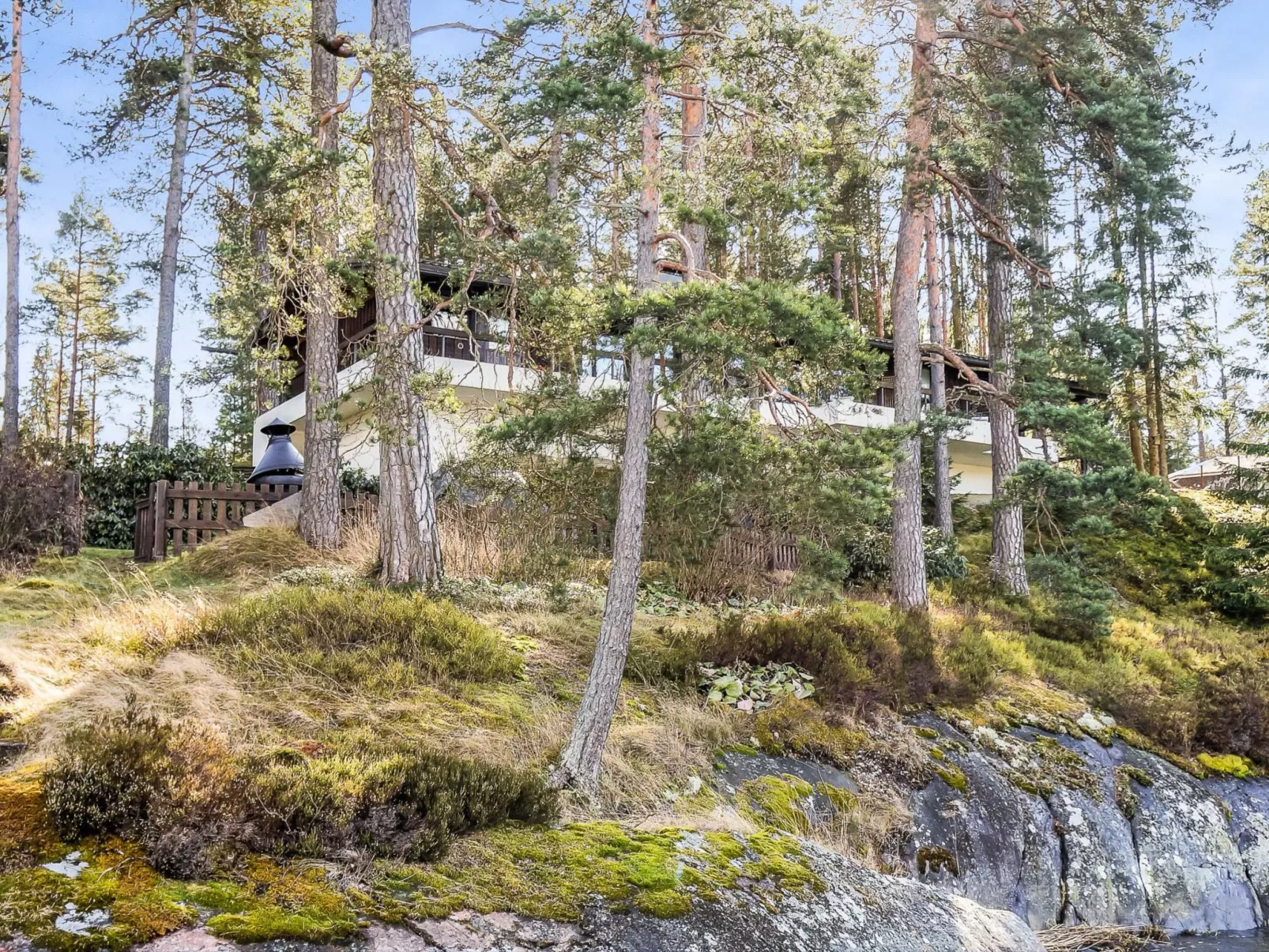 Pippuriranta