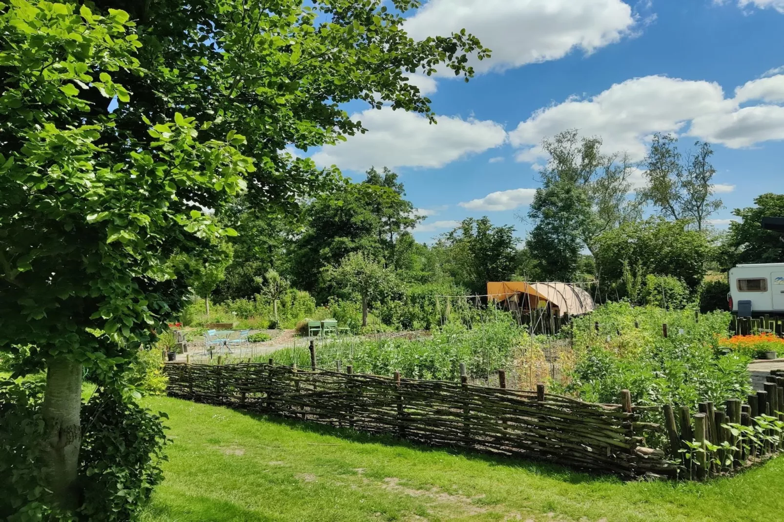 gardensummer