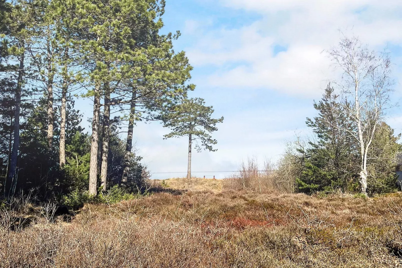 4 Personen Ferienhaus in Rømø-By Traum