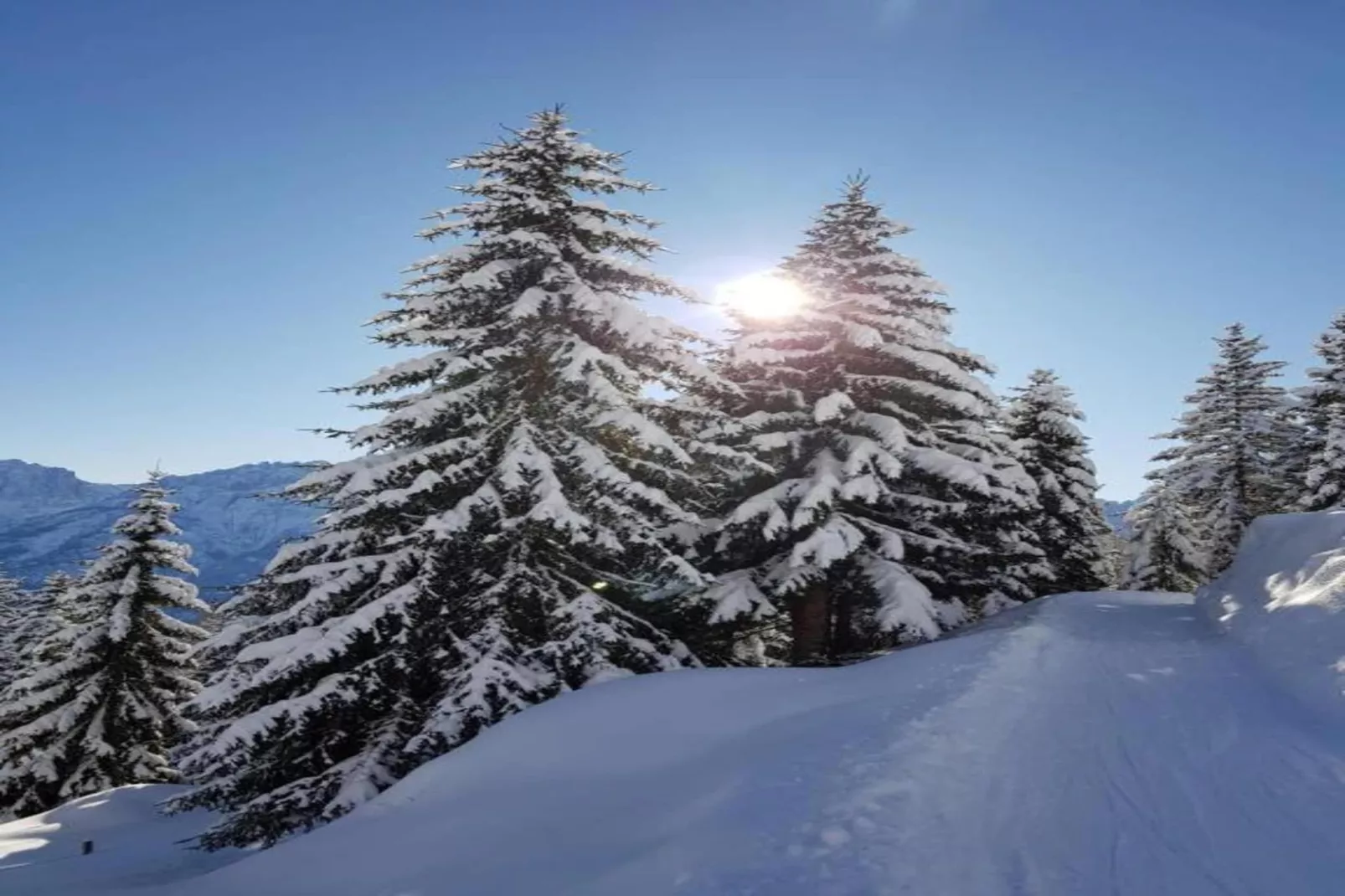 Haus Schweiger-Gebiet Winter 20 km