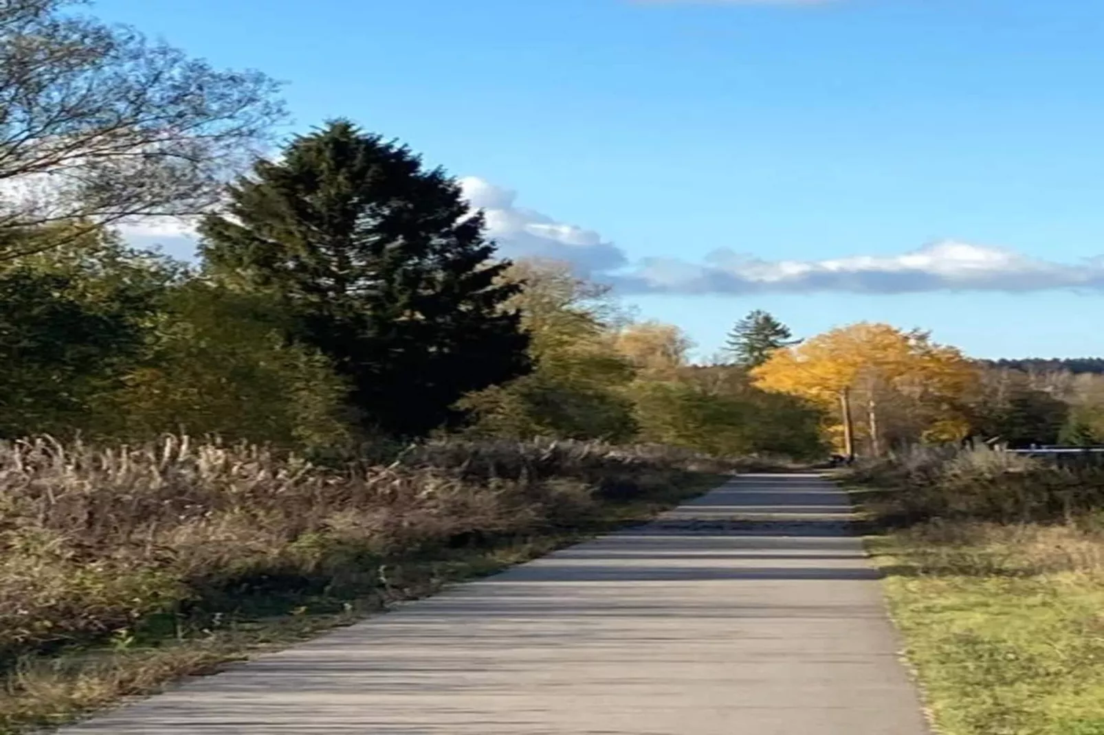 Le Sanglier-Areas summer 20km