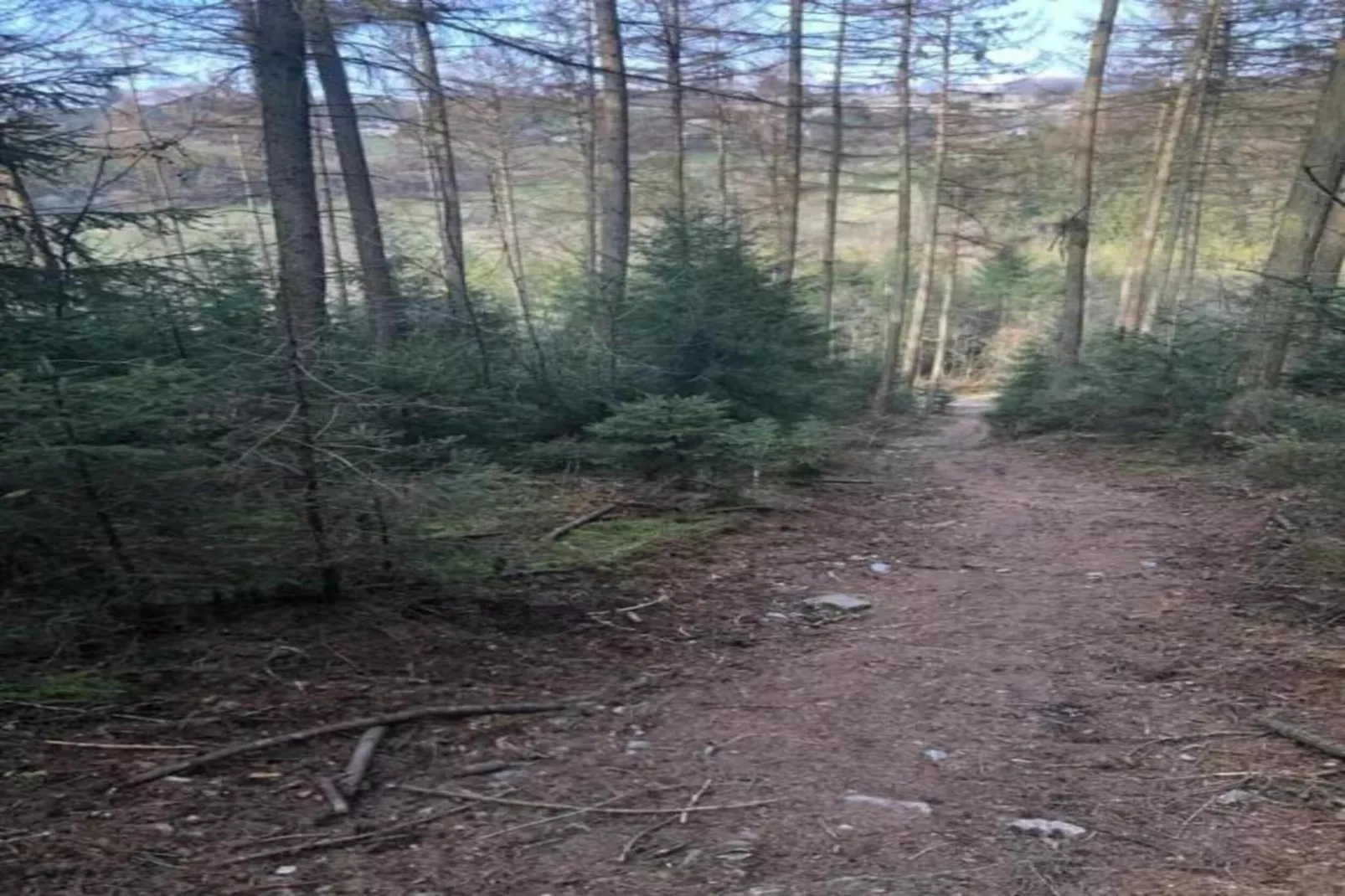 Le Chalet Likthuus-Zones d'été à 20 km