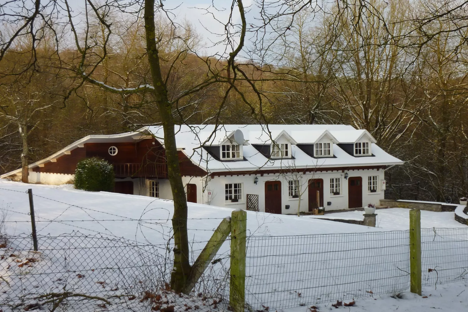 Domaine De L'Ecureuil 4-Exterior winter