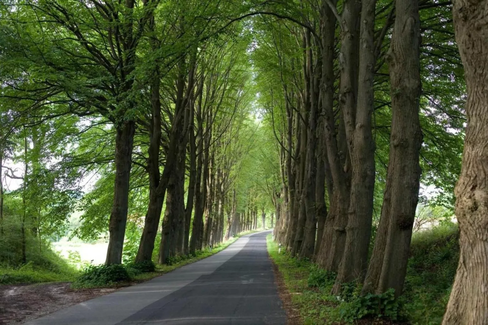 Hagen-Zones d'été à 20 km