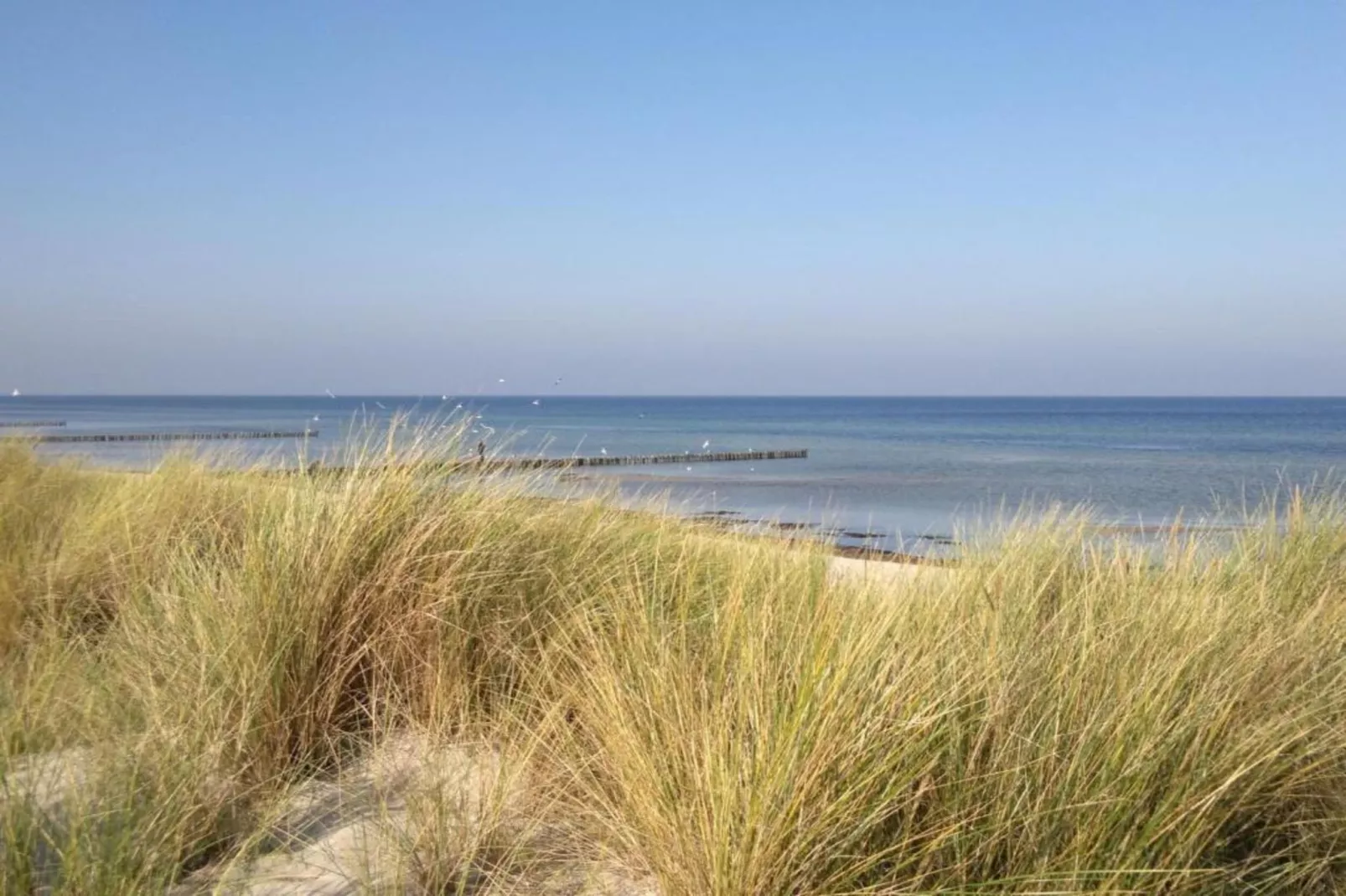 Strandnahes Ferienhaus Claudia in Rerik-Areas summer 20km