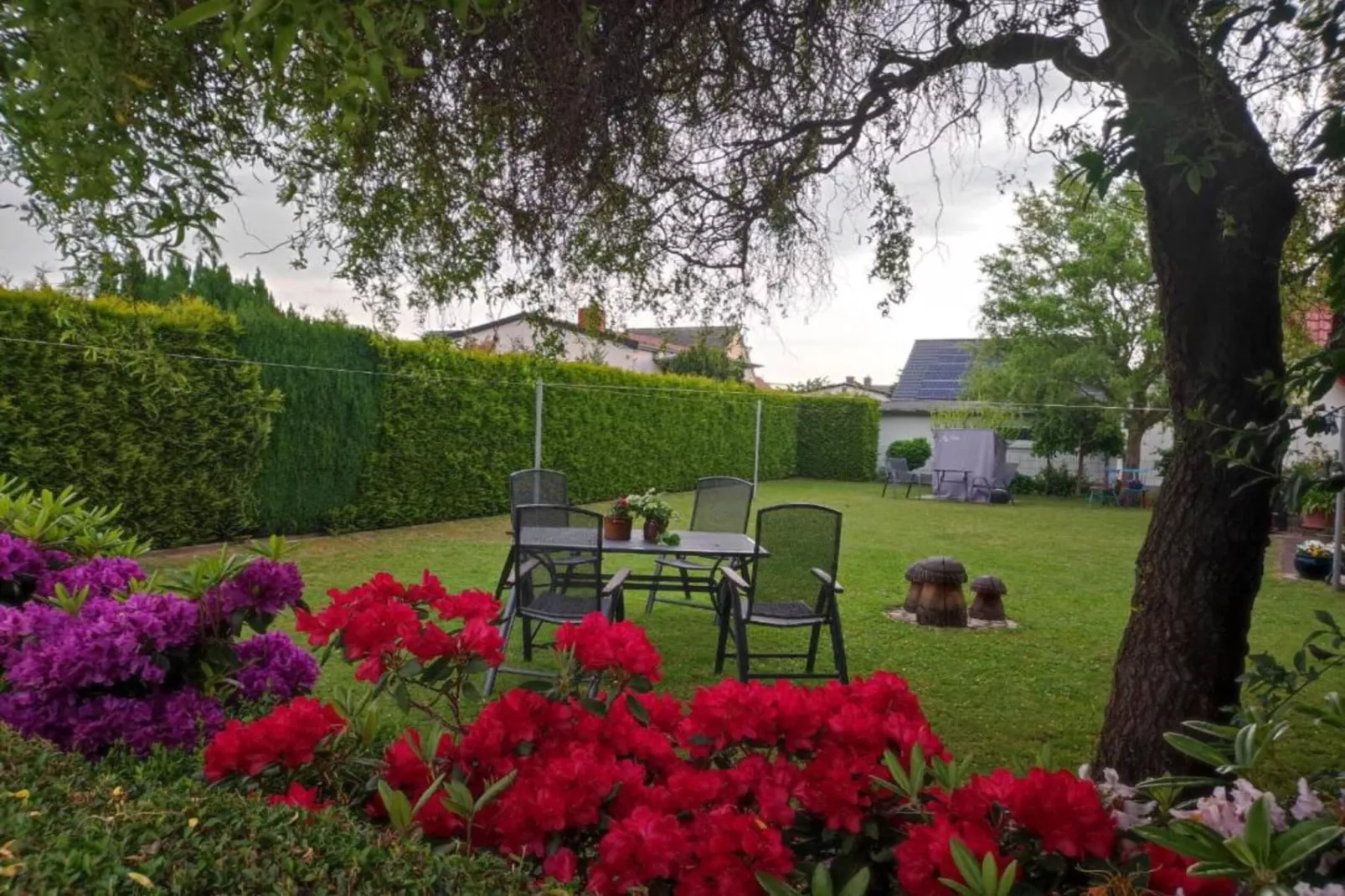 Waldblick-Gebiete Sommer 20 km