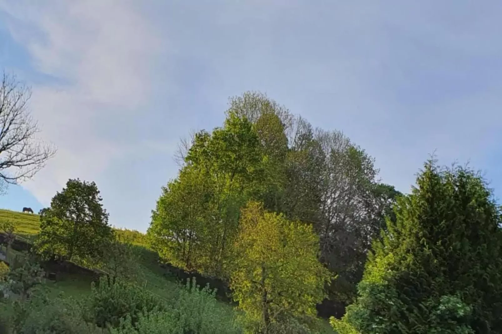 Villa im Erzgebirge-Areas within 20km in summer