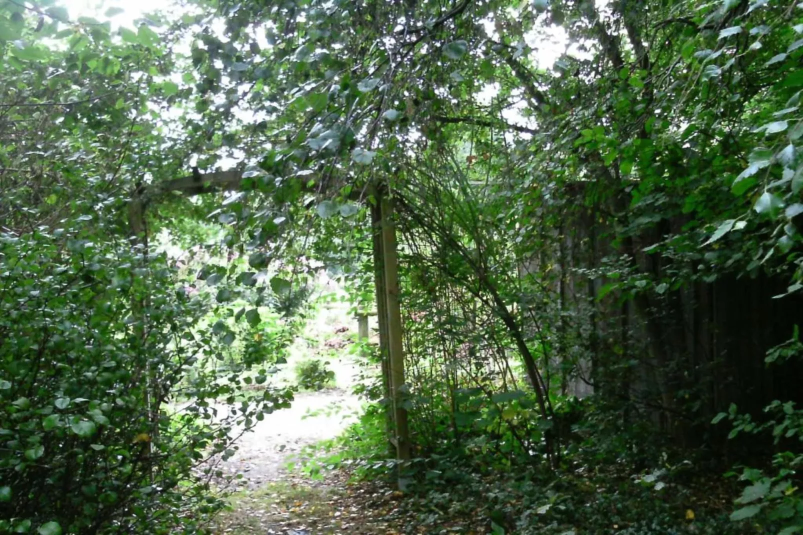 Ericaheidepark-Areas summer 20km