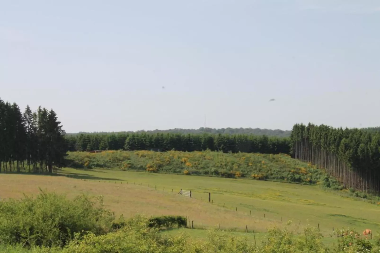 Am Iberg-Areas summer 20km