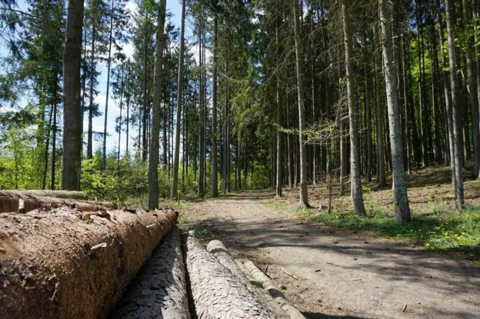 Seepark Kirchheim-Gebiete Sommer 20 km