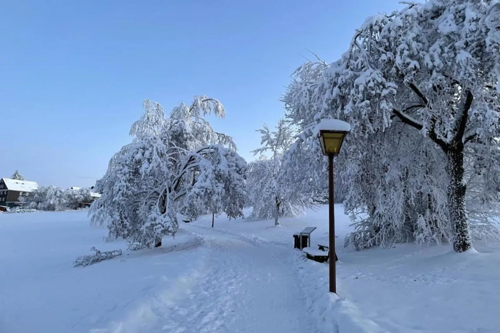 Sternenblick-Zone d'hiver à 5 km
