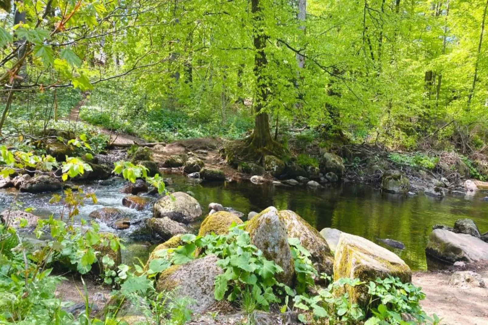 Hexenstieg-Areas summer 20km