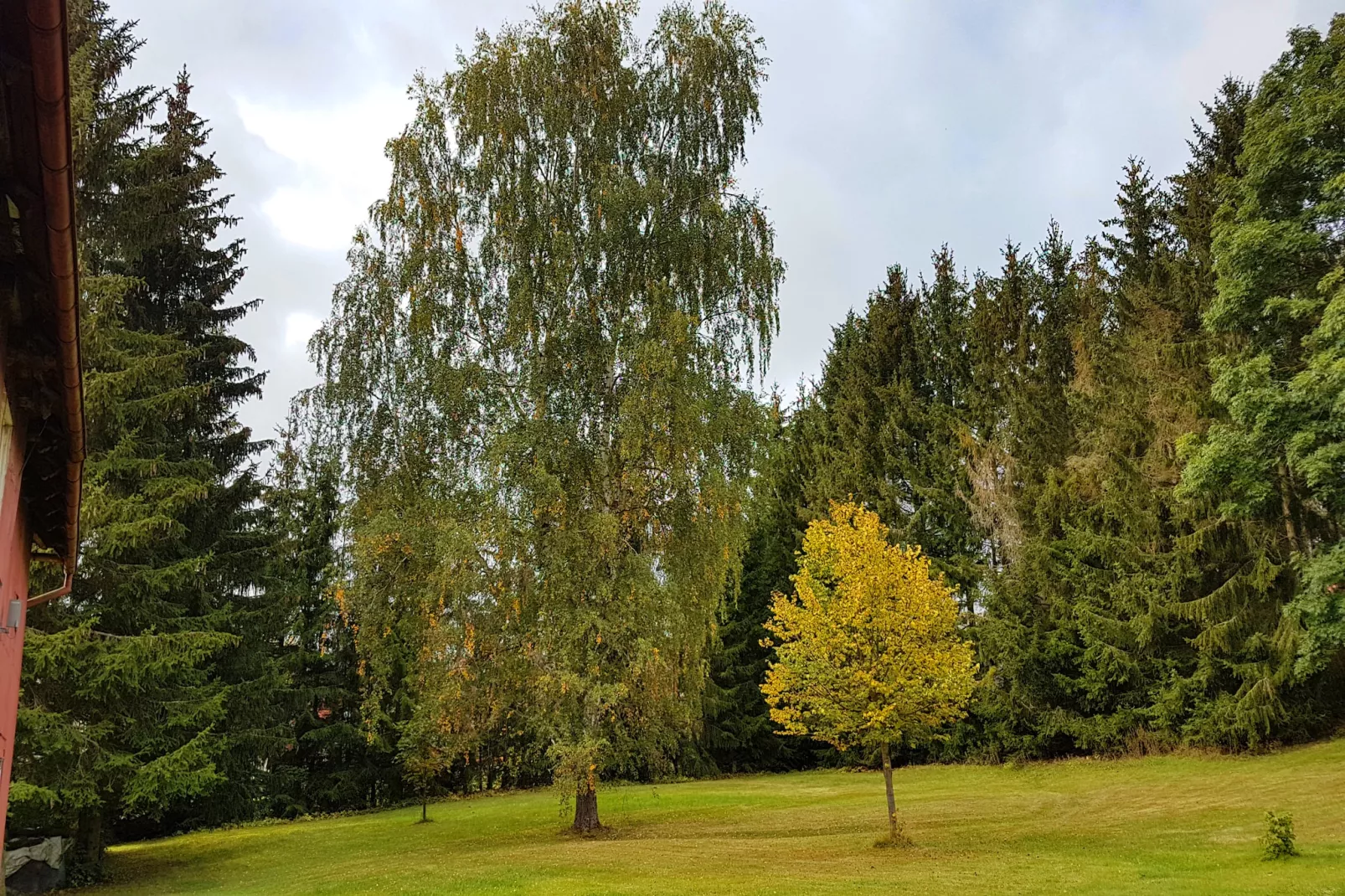 Benneckenstein-Jardin d'été