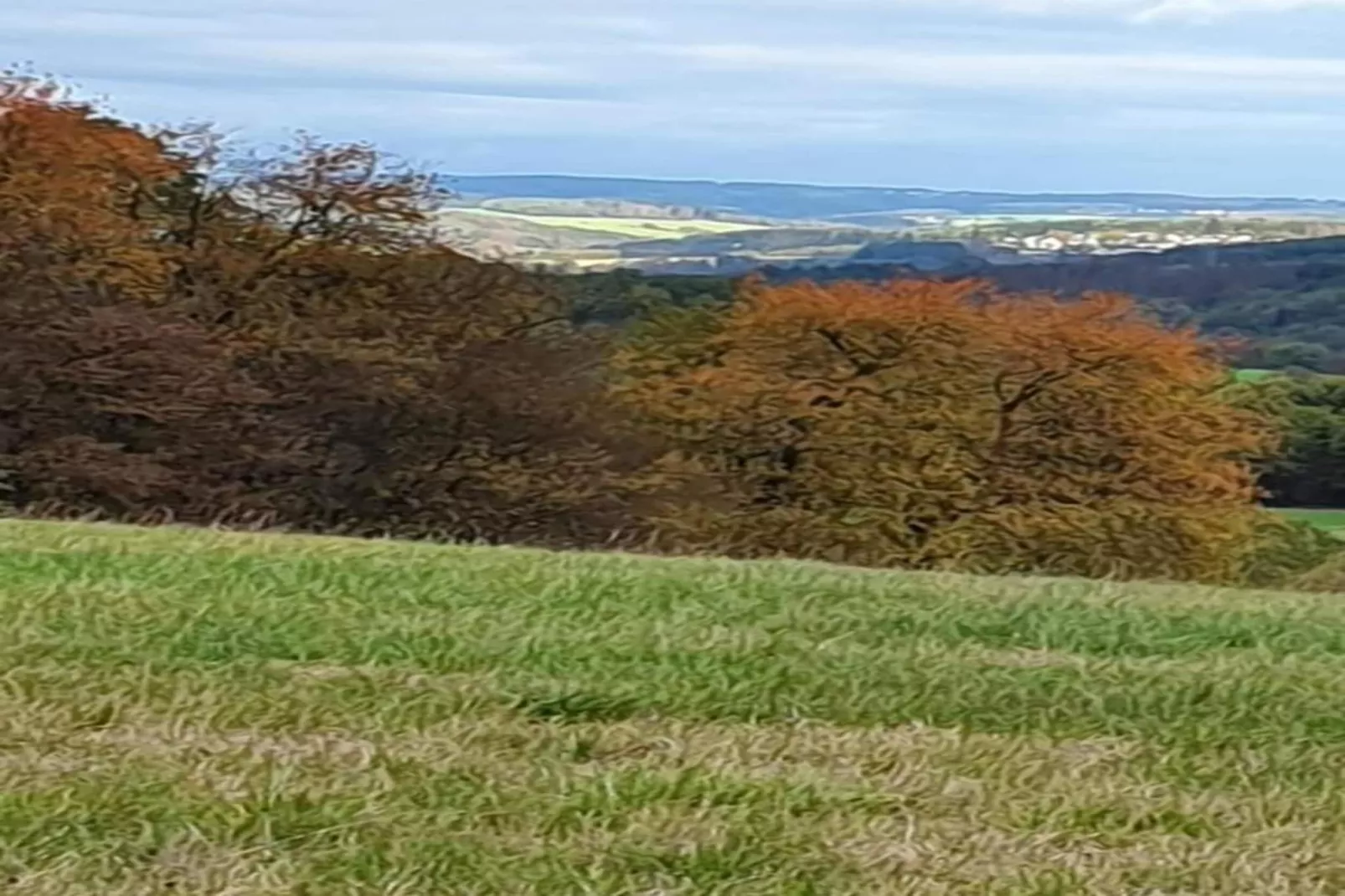 Im Westerwald-Areas summer 20km