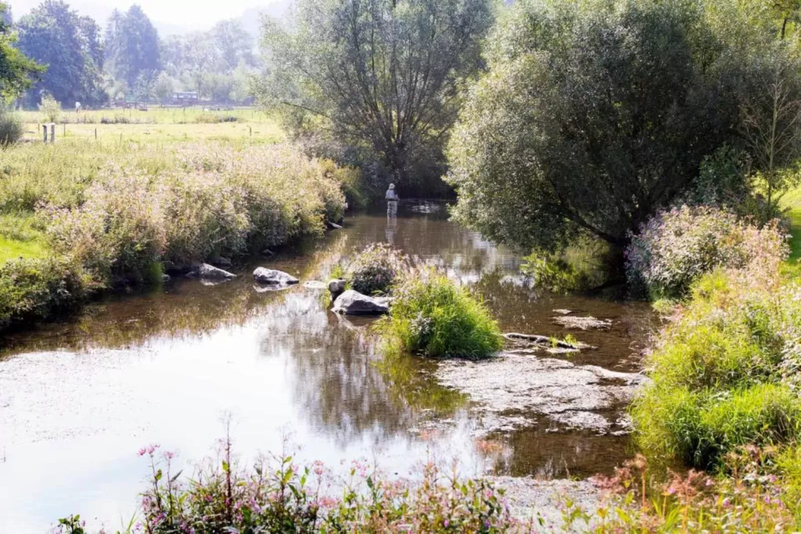 Sauerlandstuben-Gebiete Sommer 20 km