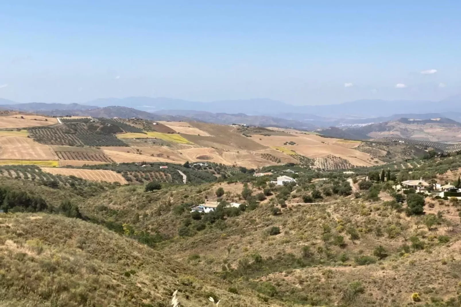 El Trigal-Areas summer 20km