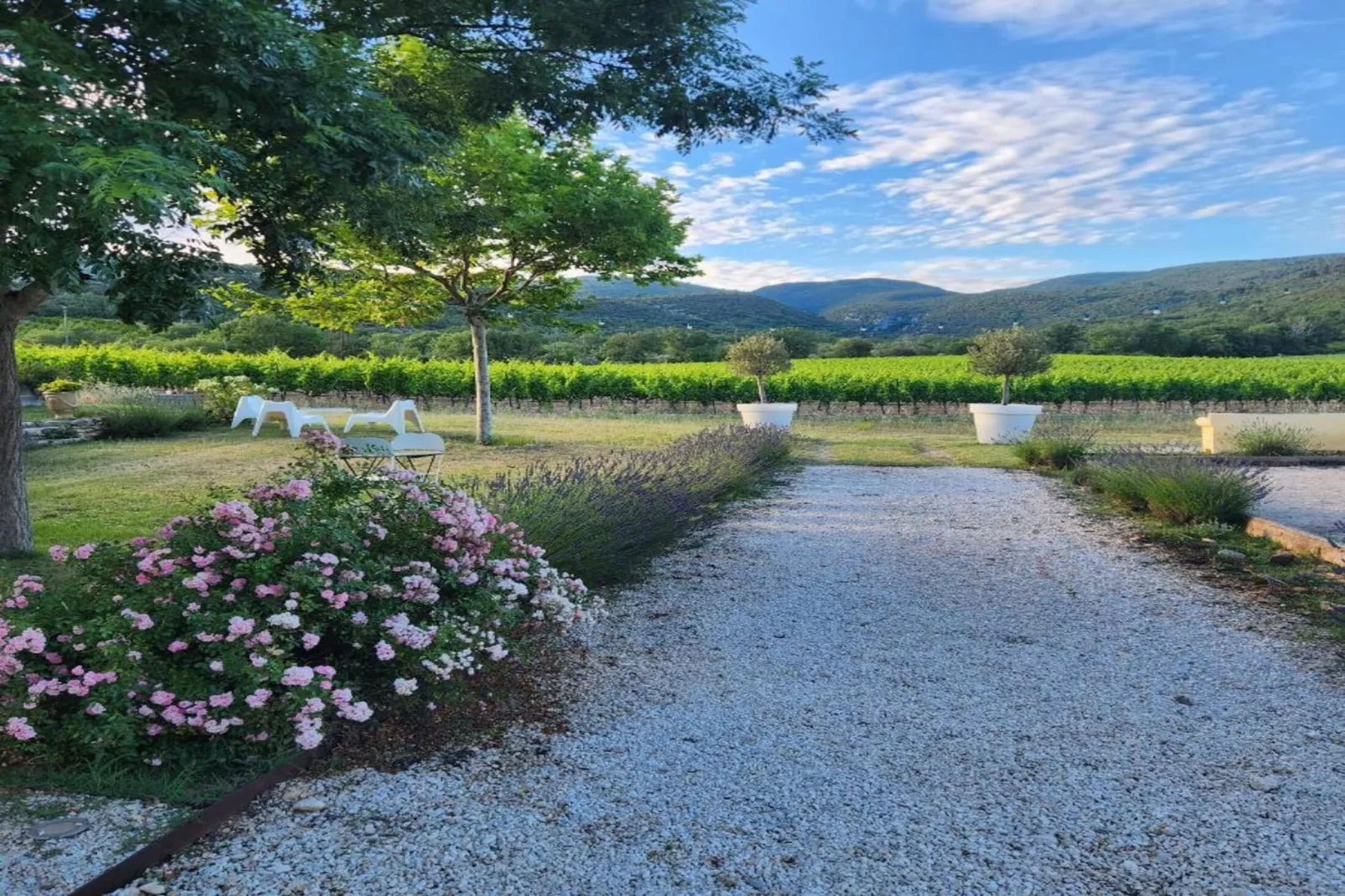 Le Clos Savornin 2-Areas summer 1km