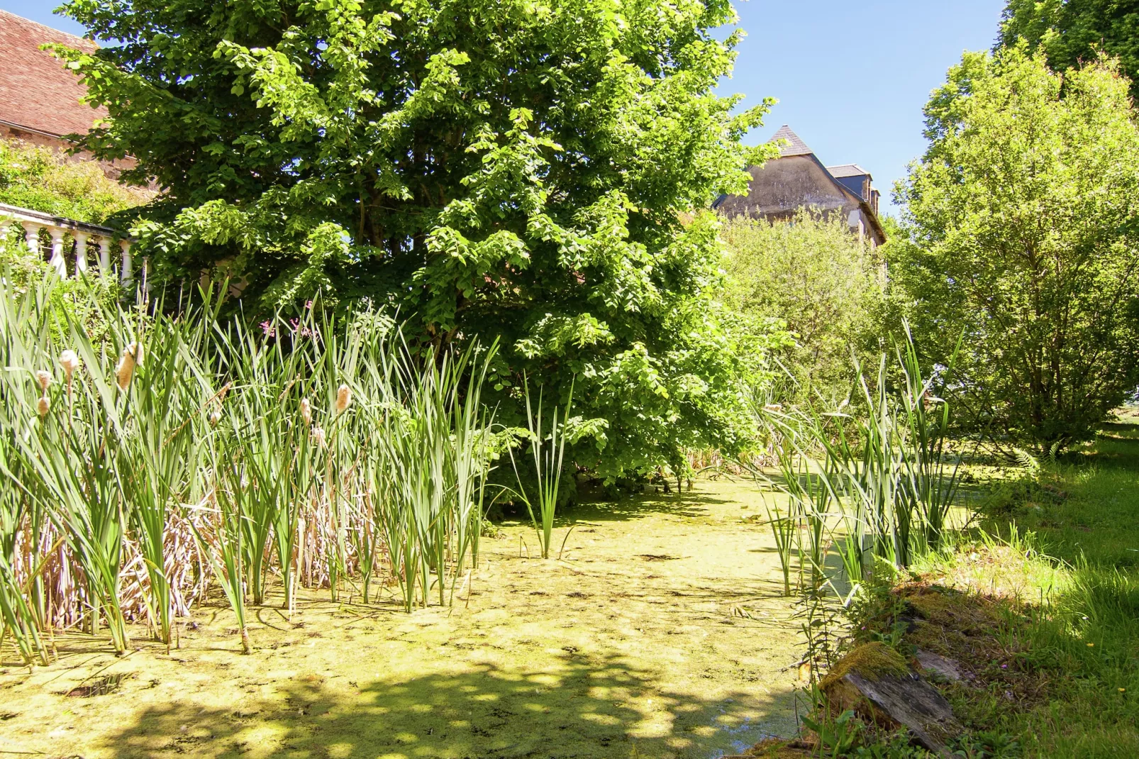 Un Manoir en Dordogne-Areas summer 1km