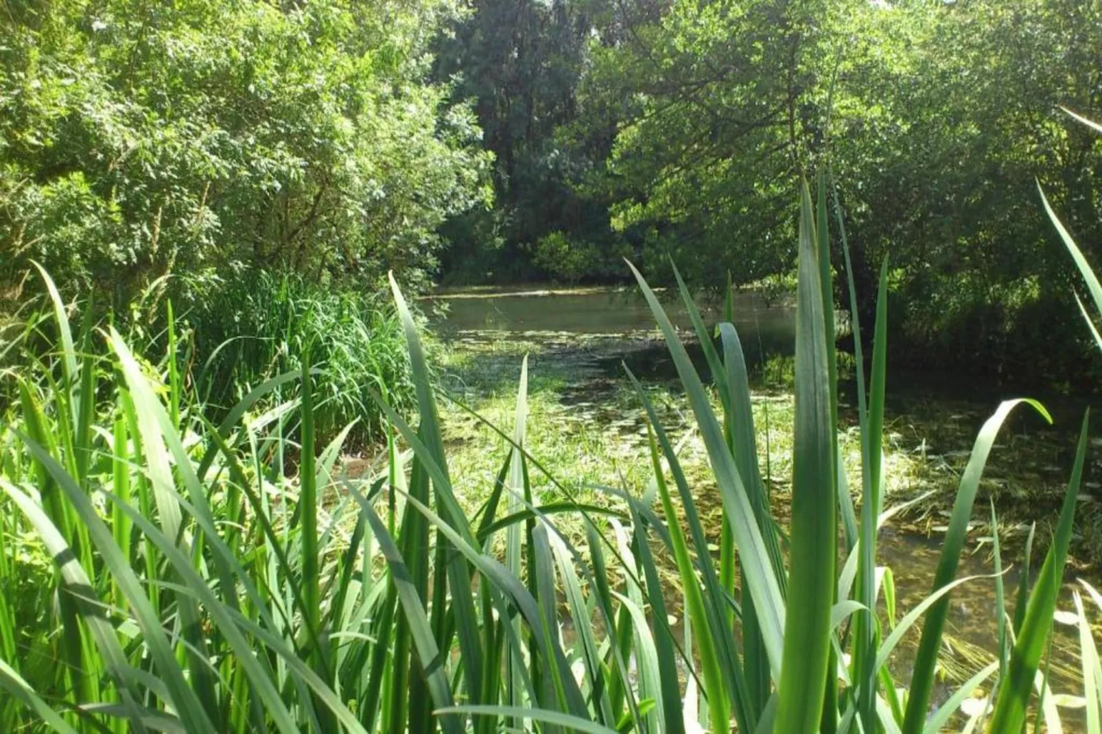 Residence Les Jardins Renaissance 2-Gebiete Sommer 5 km