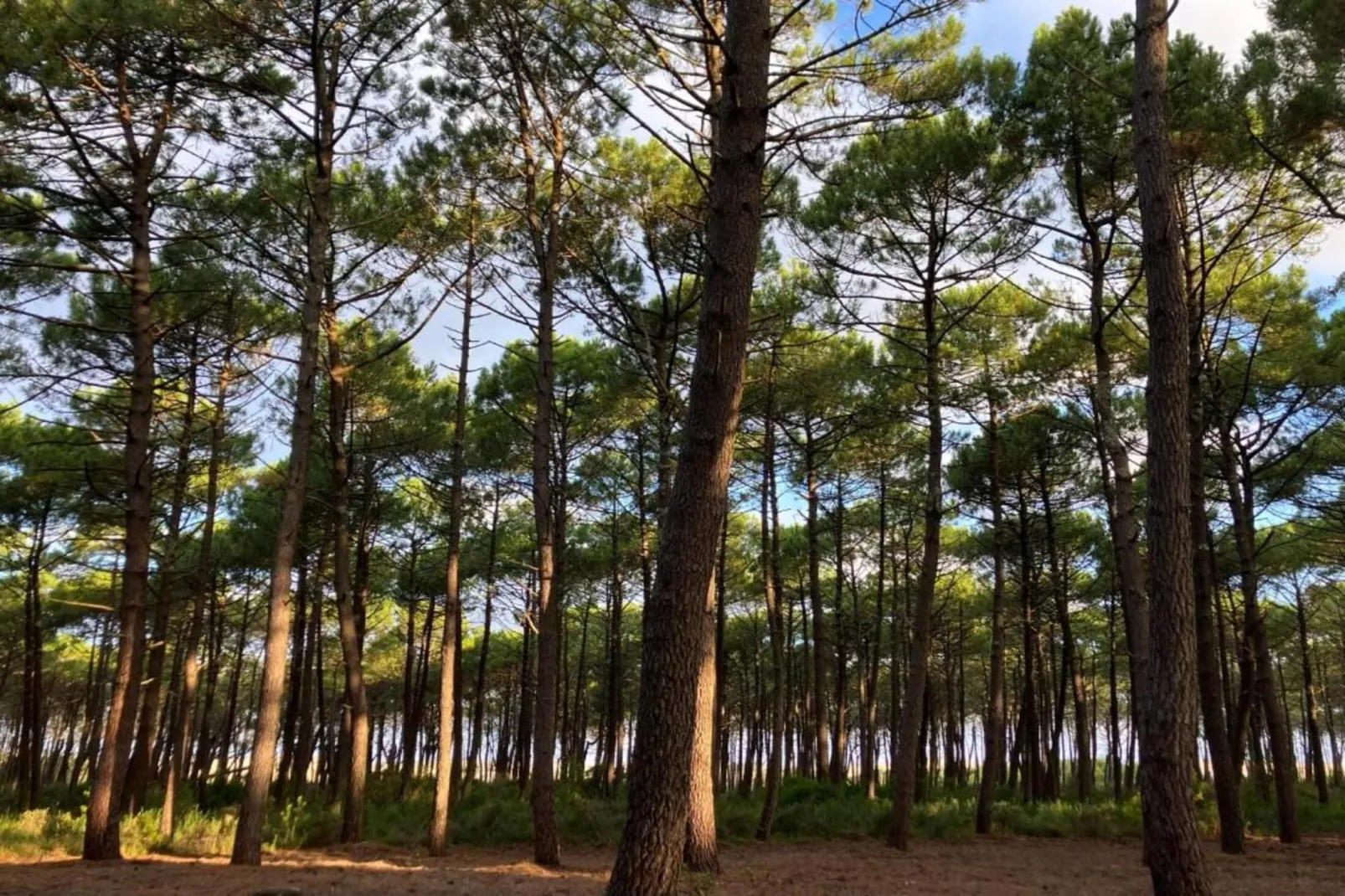 Le Domaine des Grands Lacs 3-Areas summer 1km