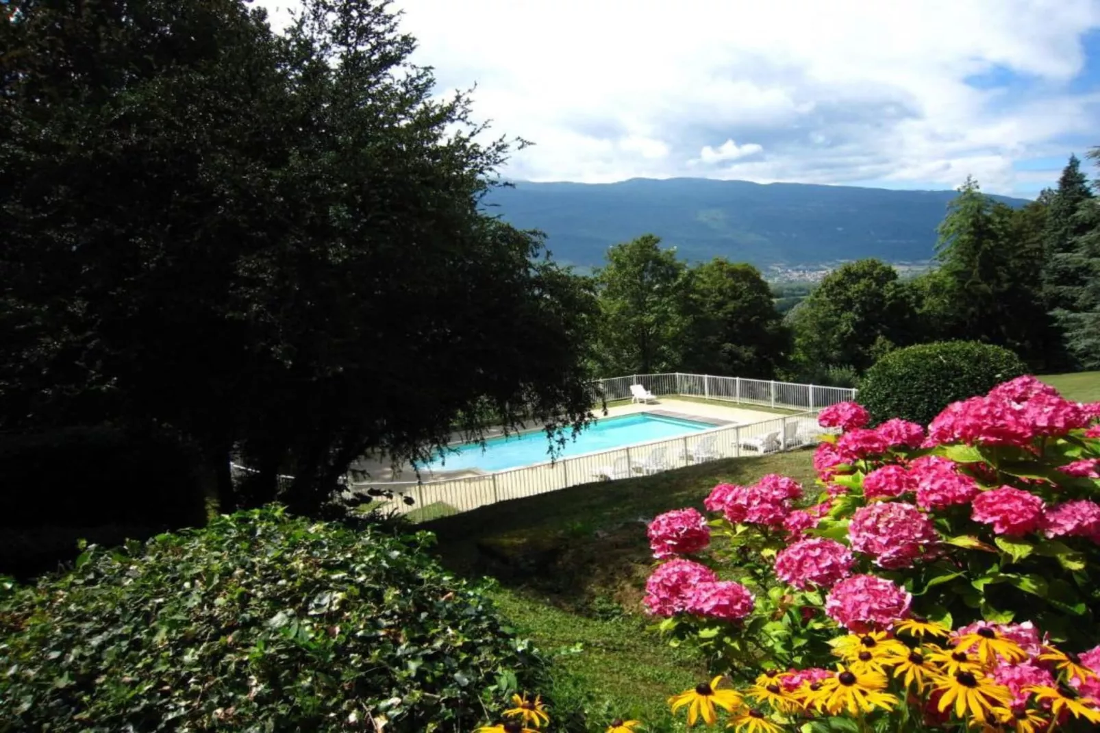 Mercure-View summer