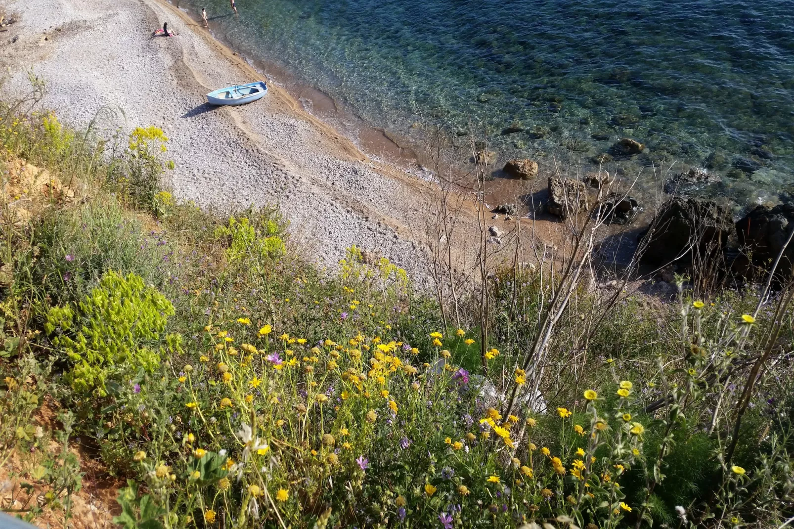 Marina-Areas summer 5km