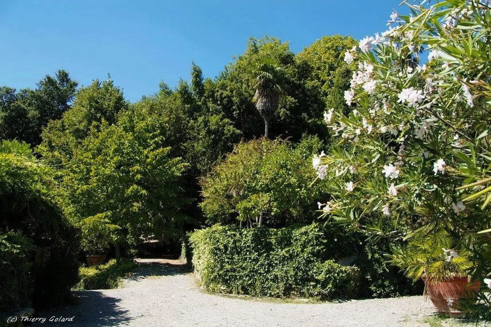 Casa La Fioraia-Gardens summer