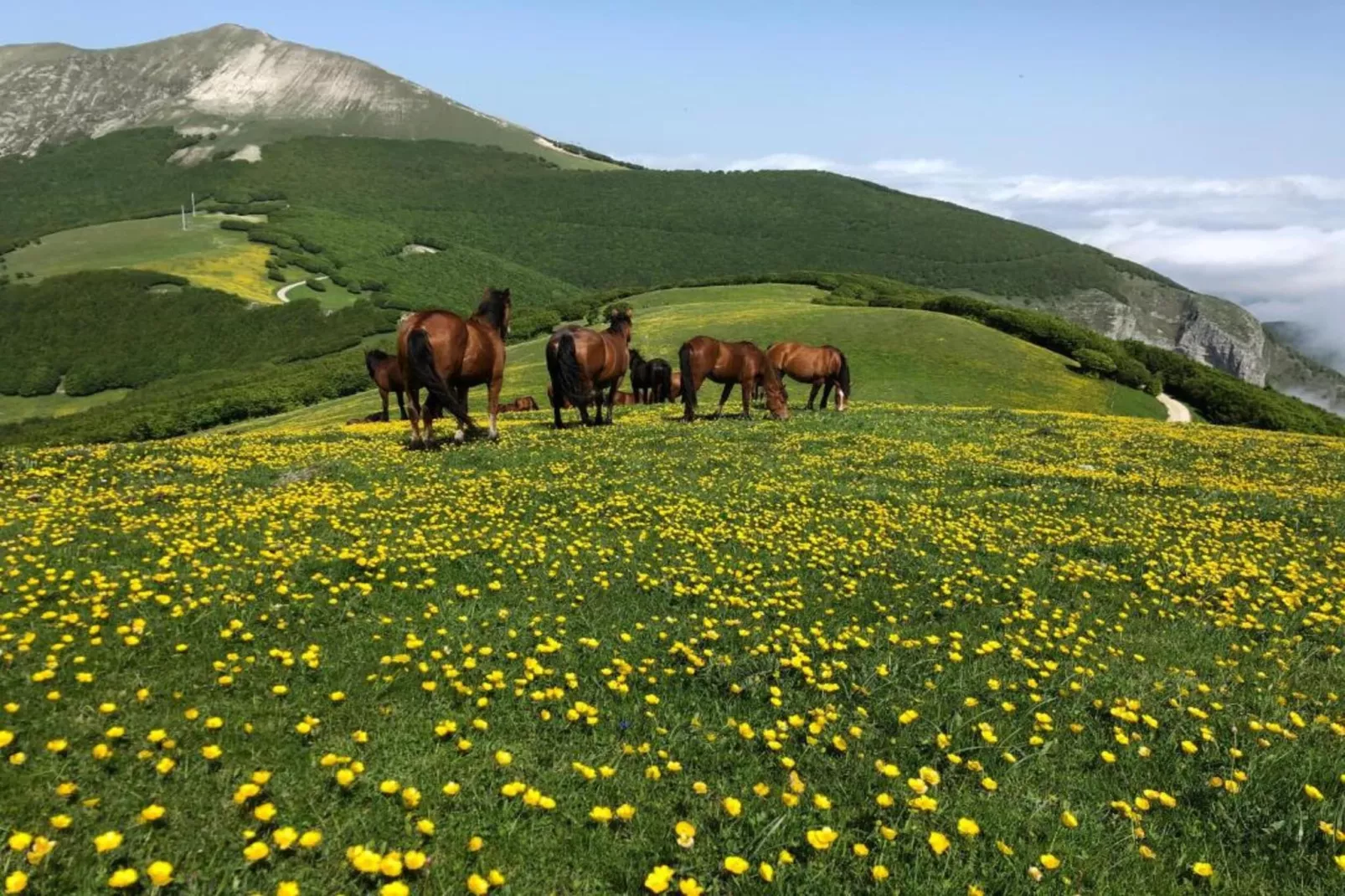 Casa Volpara-Zones d'été à 20 km