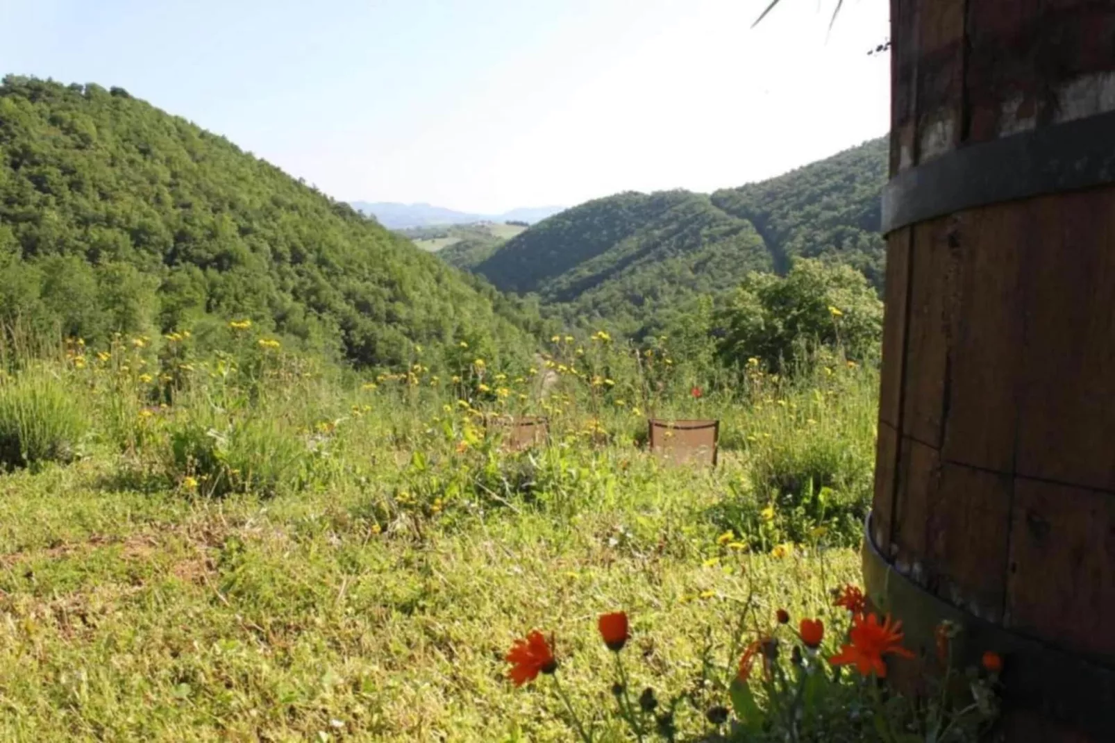 Le Castorelle-Gebiete Sommer 20 km