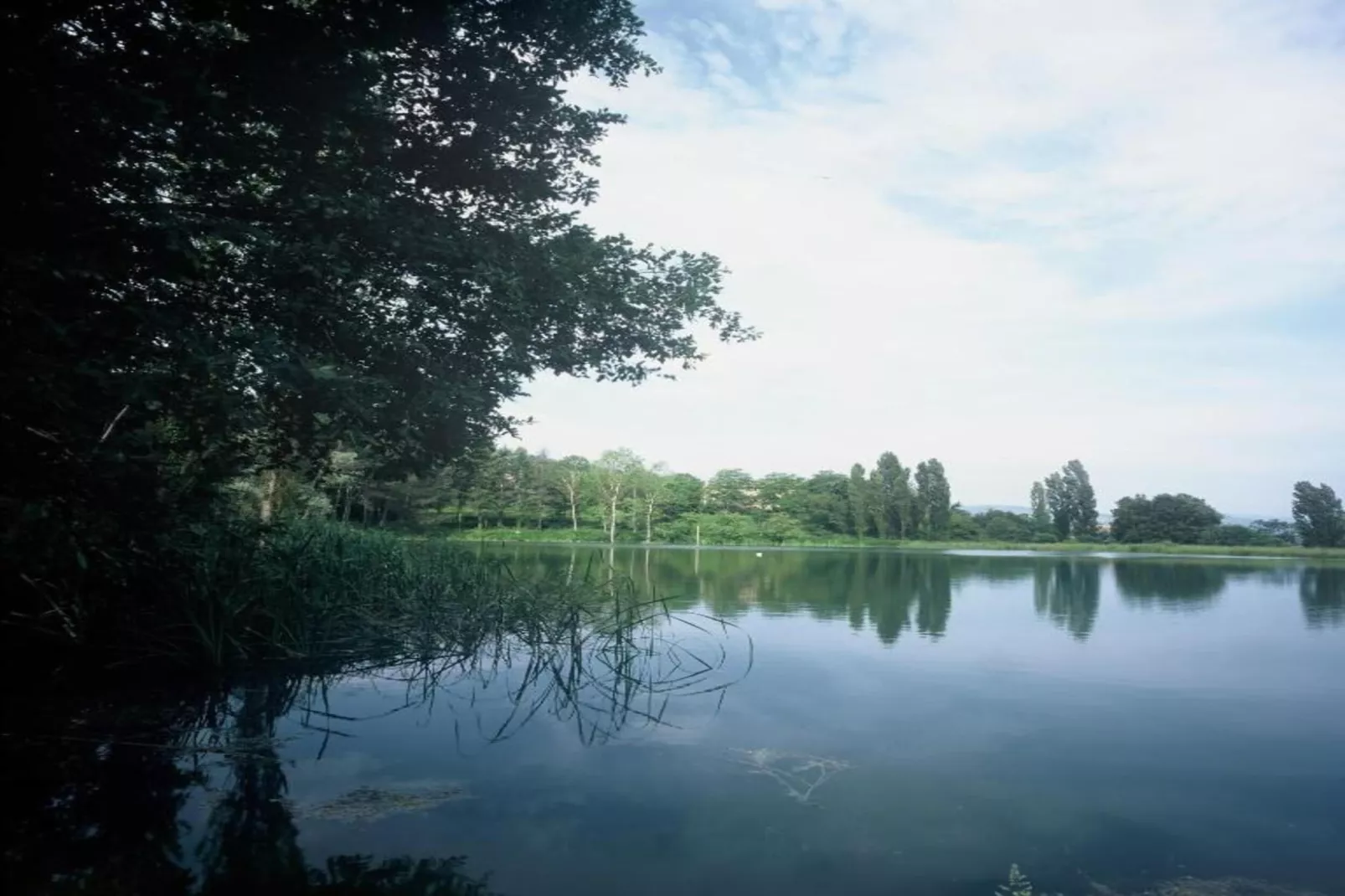 Super Comfort-Areas summer 20km