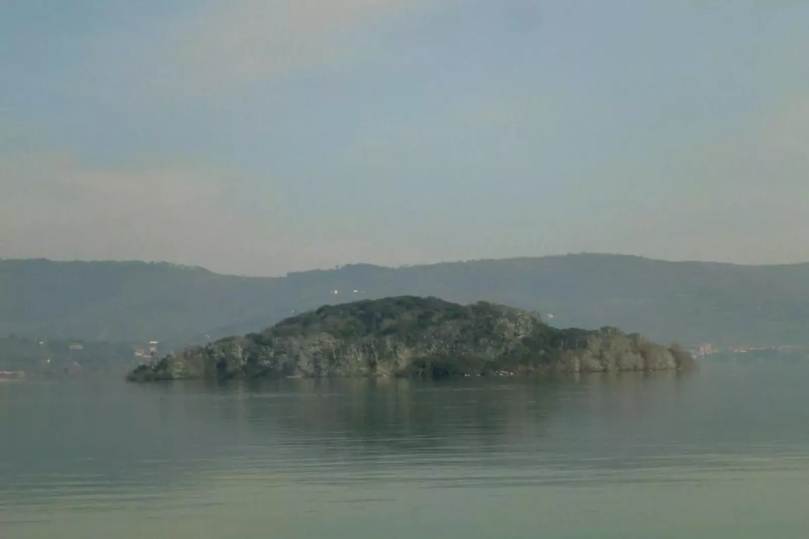 Salvia-Areas within 20km in summer