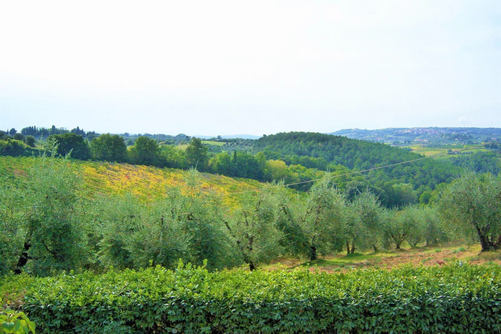 Il Poggiale-app6-View summer