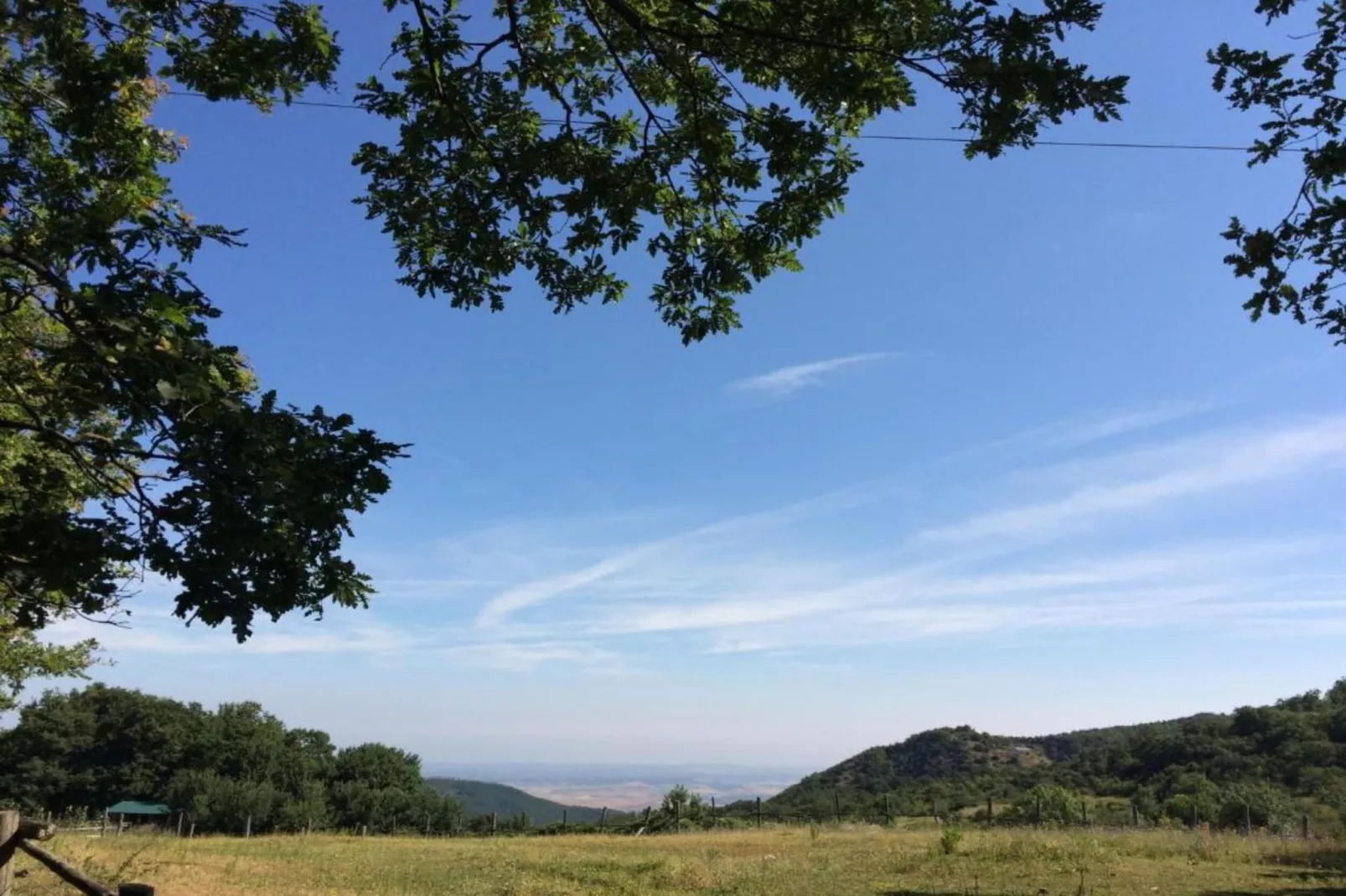 San Francesco Sangiovese-Areas summer 5km