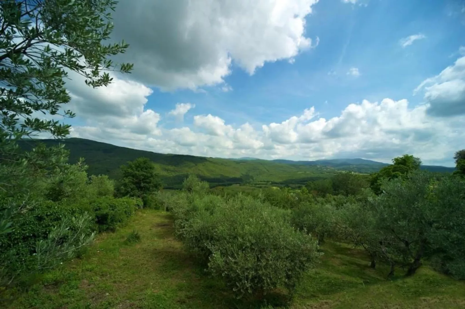 Itaca-Areas summer 20km