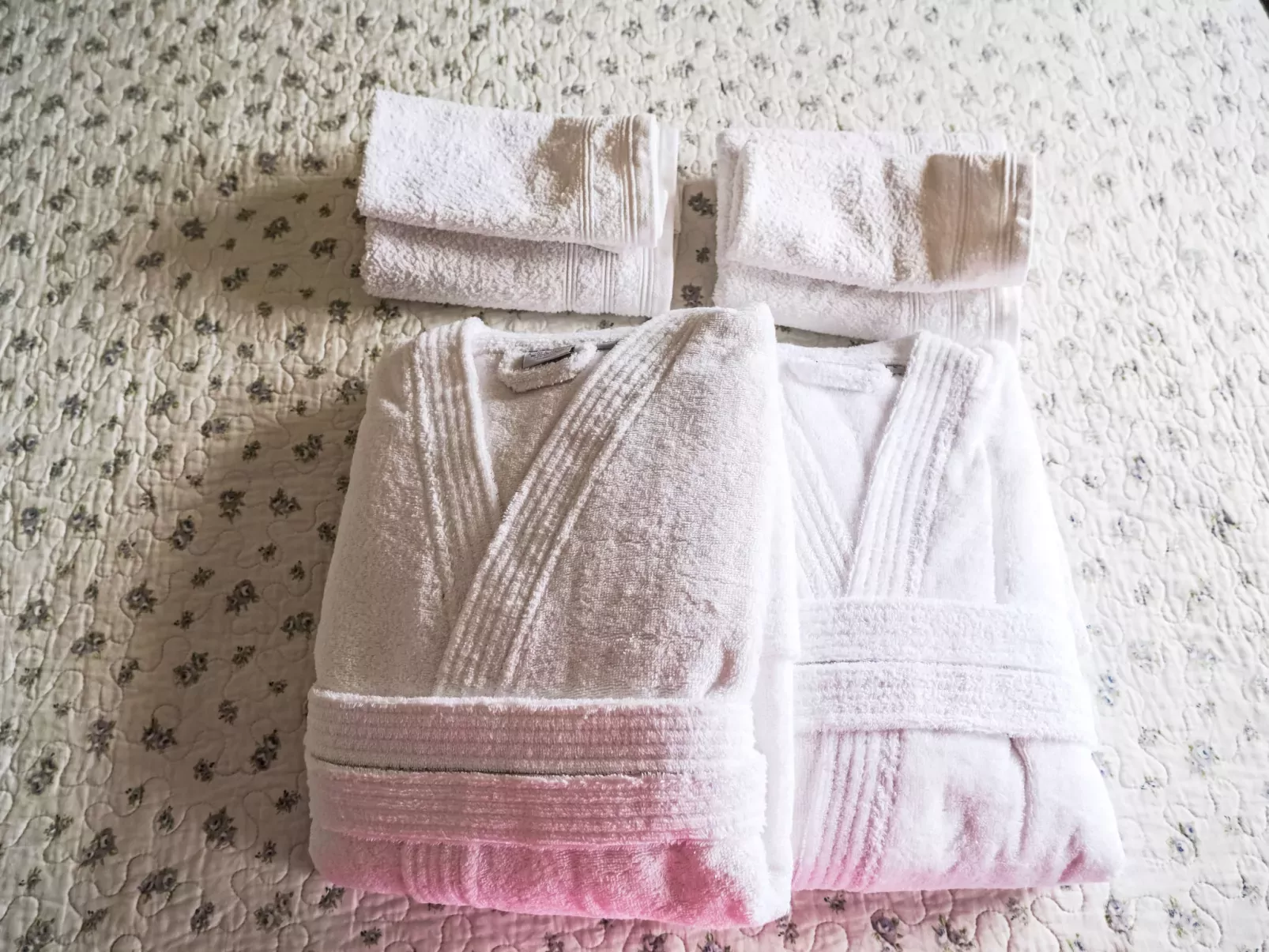 Villa Ginestra-Dedans