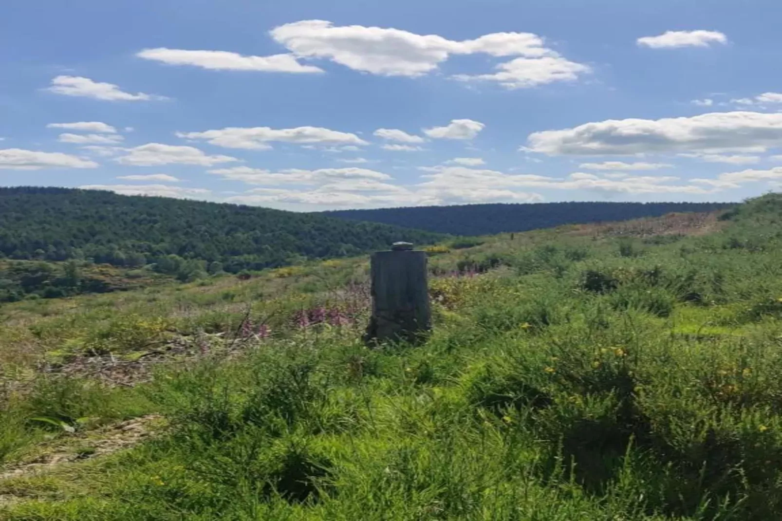 La Source des Bois-Zones d'été à 20 km