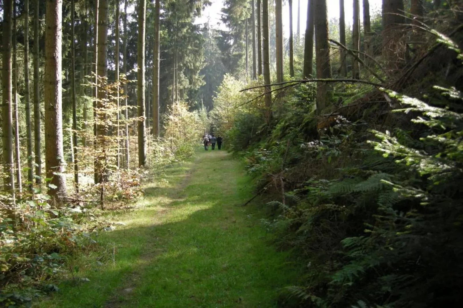 Bungalow Typ B 4P - Camping Park in der Eifel-Gebiete Sommer 20 km