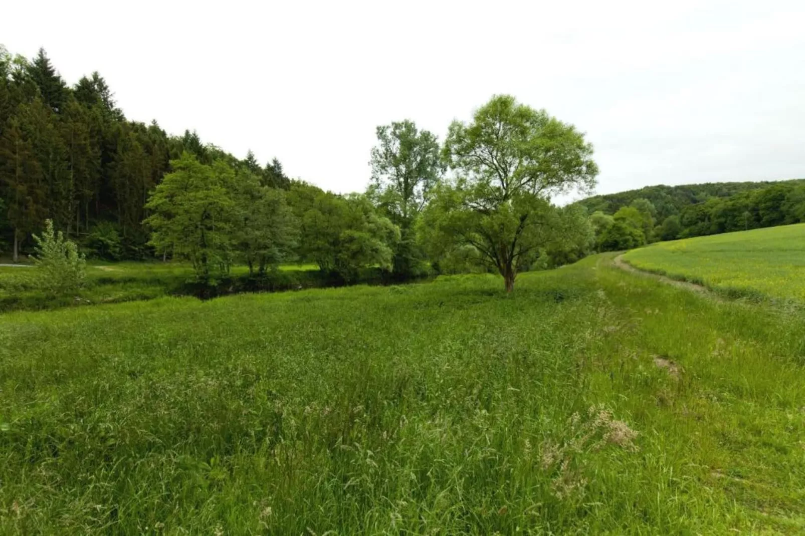 Ferienwohnung Bluzi im Westerwald-Areas summer 20km
