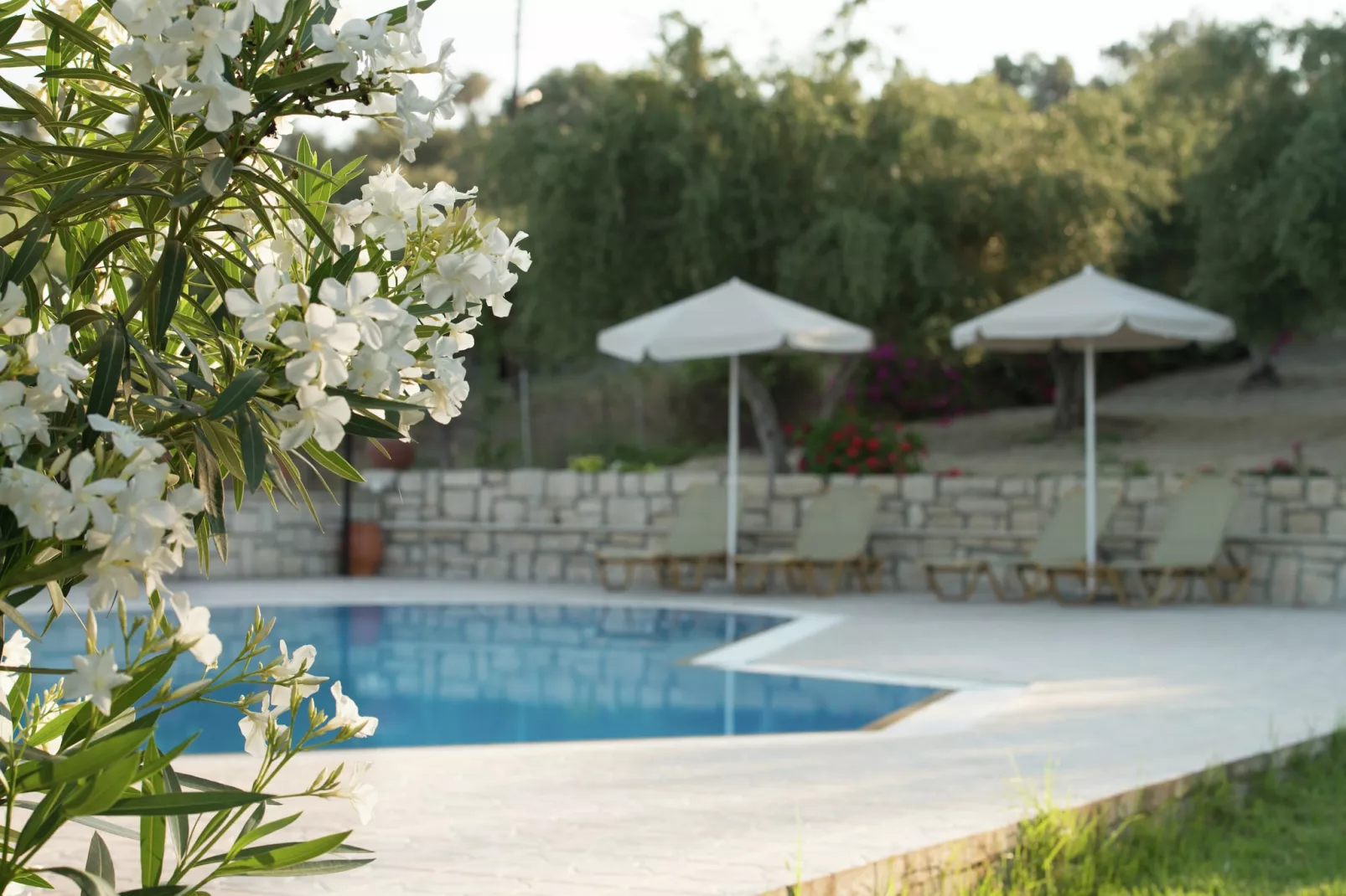 Villa Eleni en Manolis-Pool