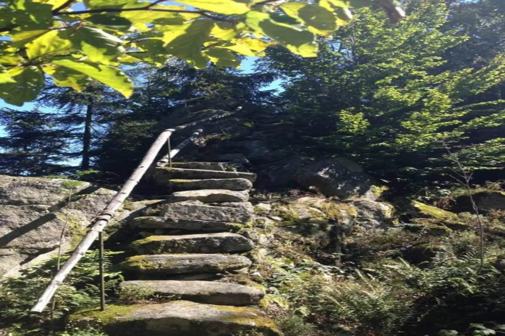FERIENDORF SEEBLICK - Tiny Chalet am Eixendorfer See-Gebiete Sommer 20 km