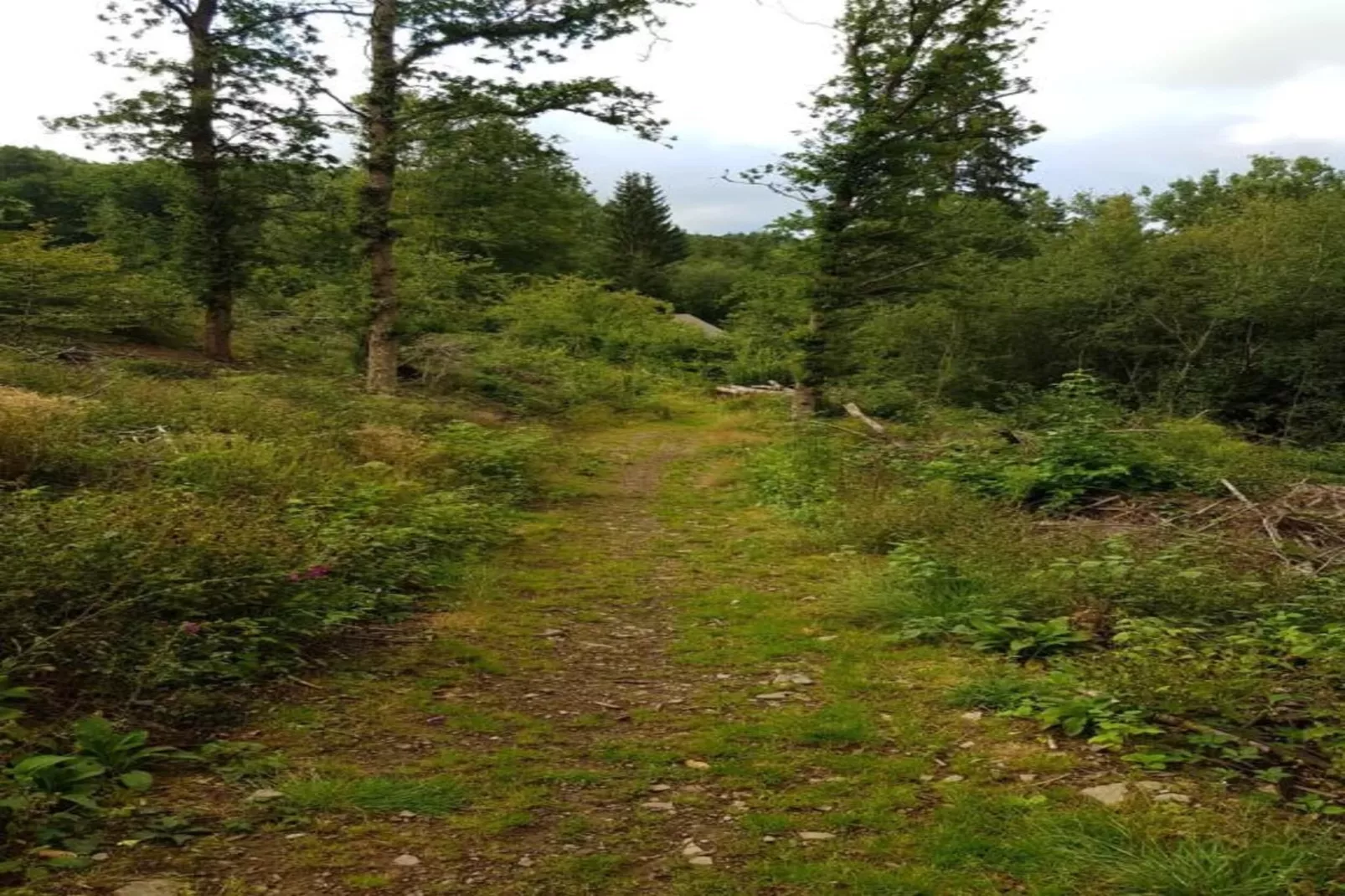 De Markestee chalet 3-Areas summer 20km