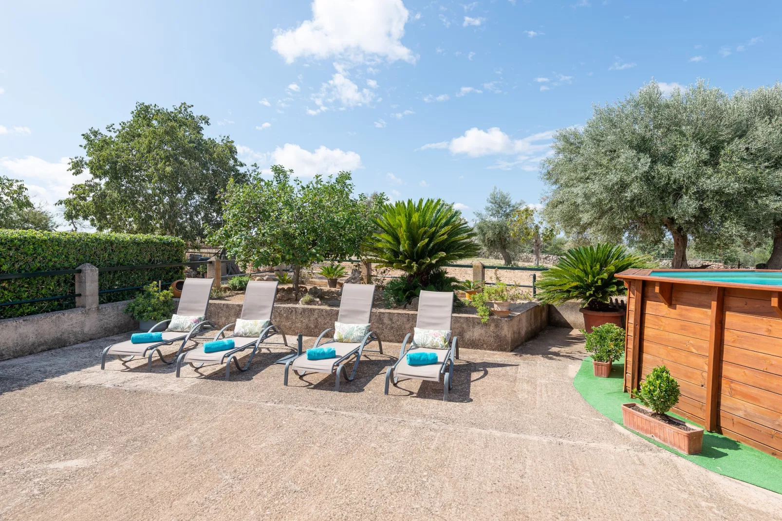 Son Rossinyol-Exterior summer