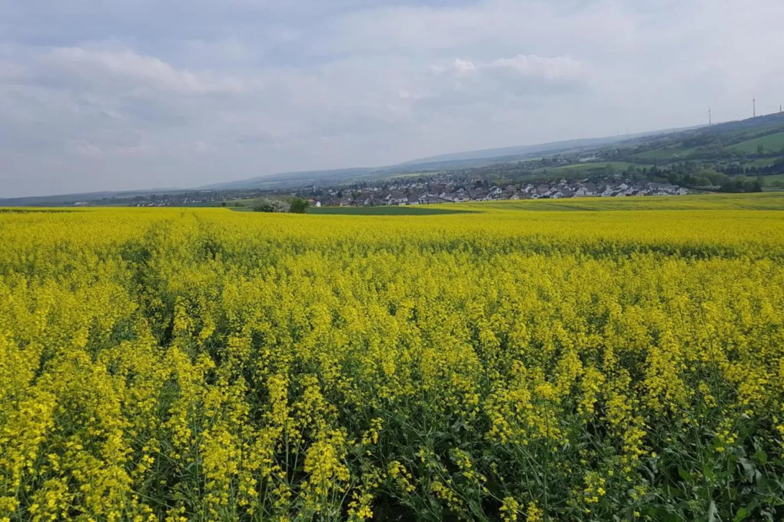 Suite im Taunus-Gebiete Sommer 20 km