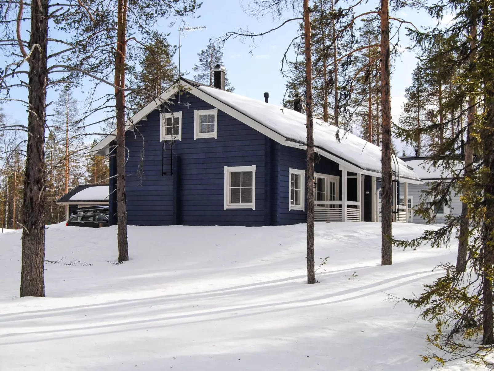Ylläs mustikka b-Inside