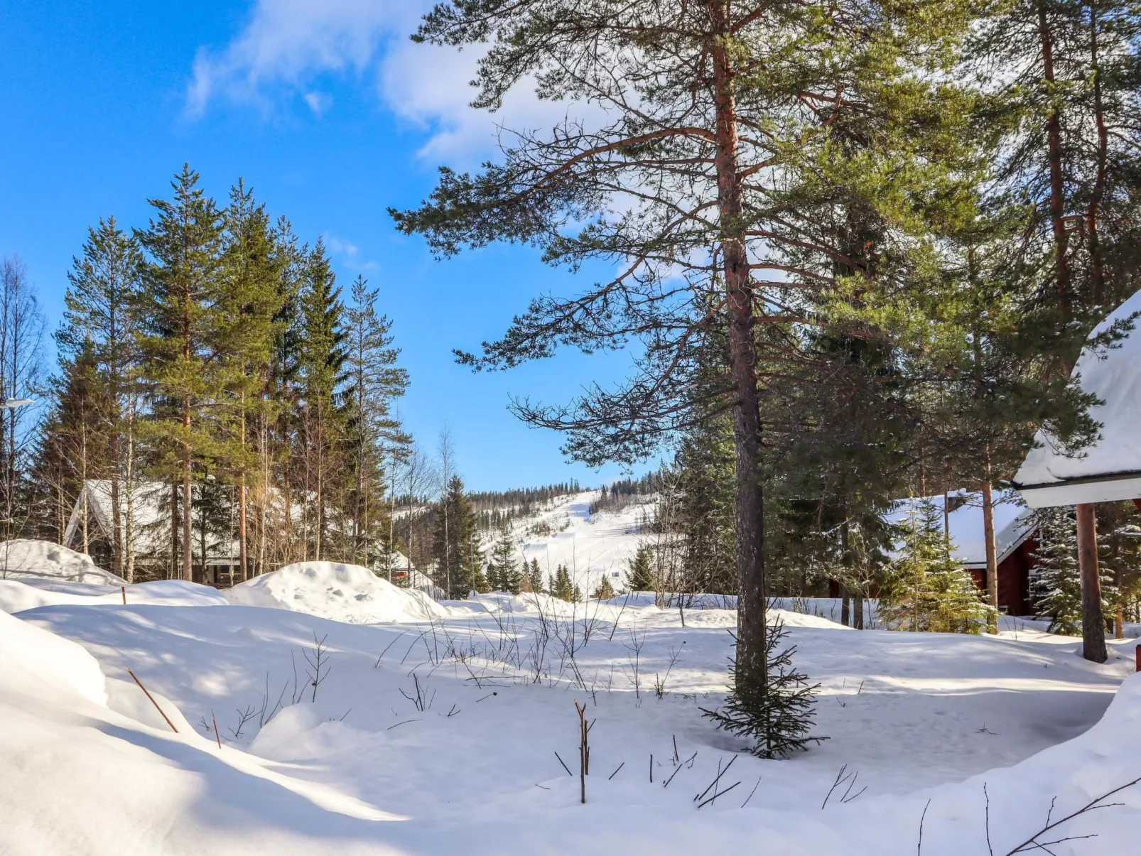 Lähteenmaa
