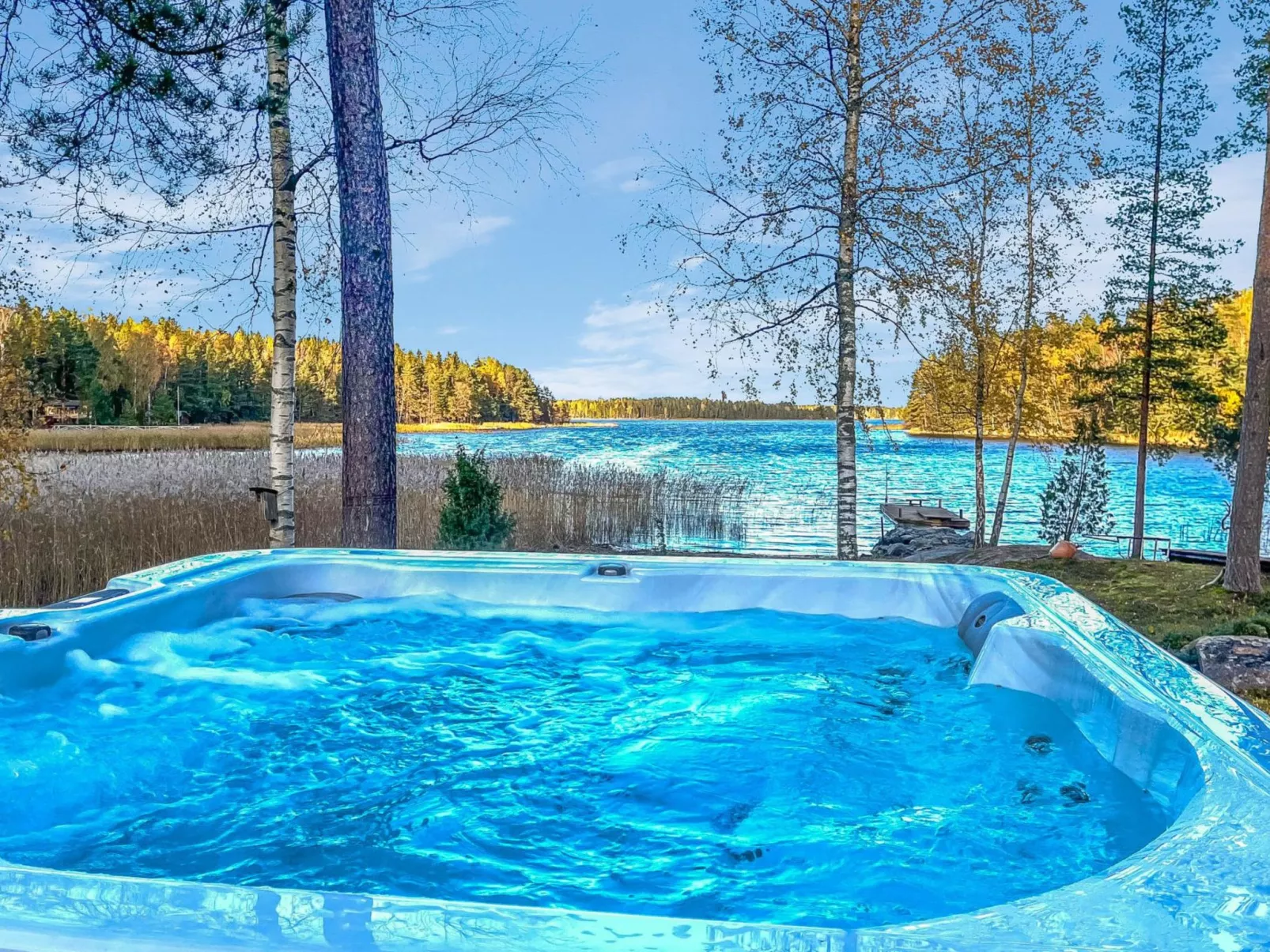 Villa haave